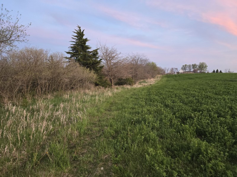 Listing photo 61